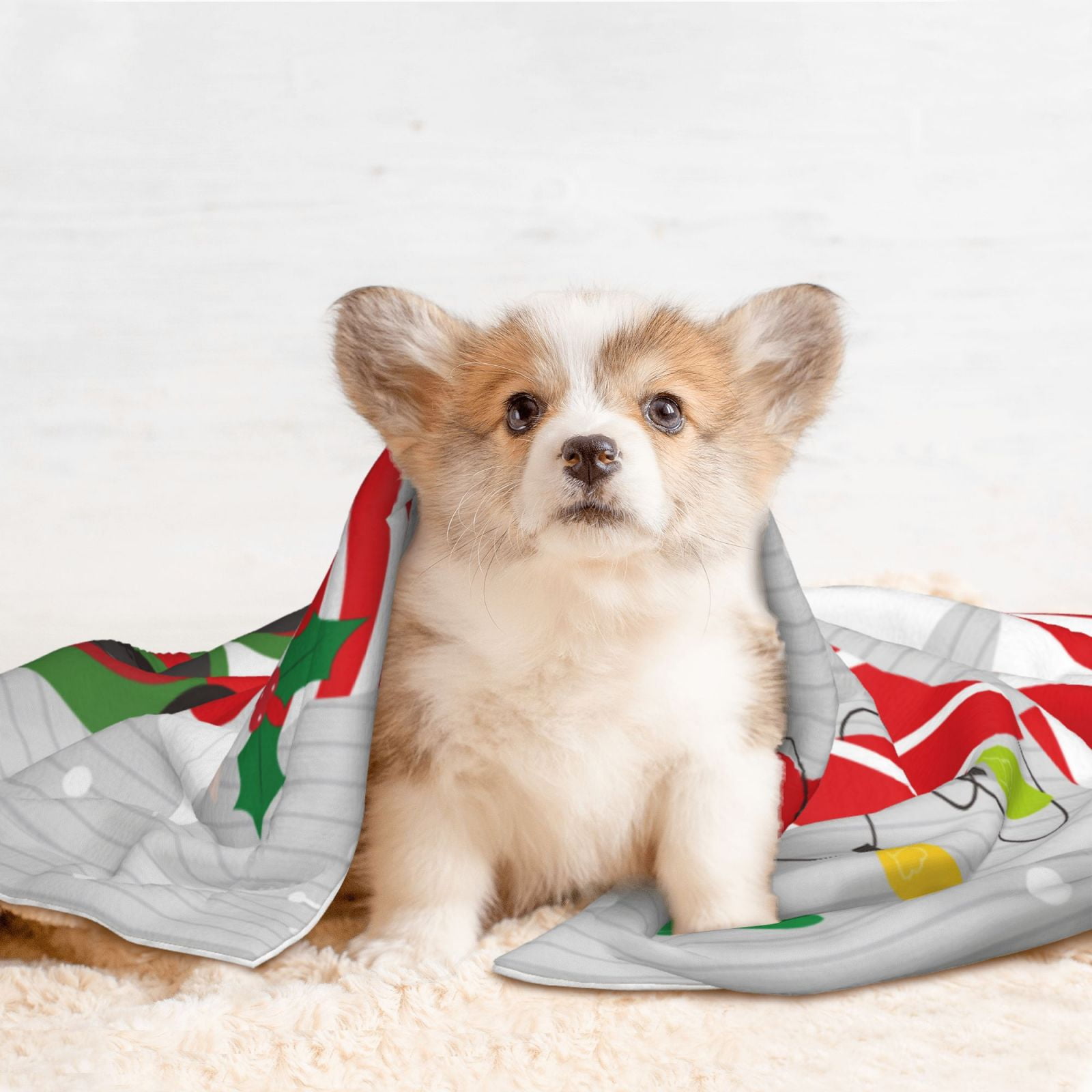 Naloa Christmas Gnome With Love Dog Blanket, 3 Sizes Cat Blanket for Indoor Cats Large Medium Small Dog Gifts-Small