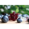 thumbnail image 4 of Blueberry & Maple Flavoured Hard Candy, 108g, 4 of 5
