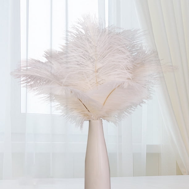 Tmvgtek 10 Plumas De Avestruz Esponjosas Para Fiestas De Bodas, Plumas De 25 A 30 Cm (Blanco) Tmvgtek Para estrenar