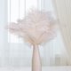 thumbnail image 4 of 10 plumas de avestruz esponjosas para fiestas de bodas, plumas de 15 a 30 cm (blanco), 4 of 5