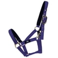 thumbnail image 1 of Hy Collier de Tête Fieldsafe, 1 of 1