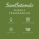 thumbnail image 4 of Aroma de néctar de madreselva Wax Melts Scentsationals, 300 ml (24 cubos), 4 of 7