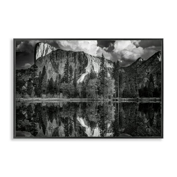 Stupell Industries Forest Trees Lake Reflection Landscape & Nature Photography Black Framed Art Print Wall Art, 18 x 12