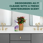Simple Green Ready-to-Use Bathroom Cleaner 32 oz