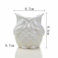 thumbnail image 1 of CNKOO Table Top Balcony Owl Succulent Flower Pot, 1 of 5