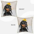 thumbnail image 3 of Kll Dachshund Sitting In Bathtub Decorative Throw Pillow Covers Velvet Soft For Couch Sofa Bedroom Living Room Outdoor -20"X20", 3 of 8