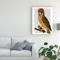 thumbnail image 3 of Trademark Fine Art 'Owl with Steampunk Style Bowler Hat' Canvas Art by Fab Funky, 3 of 3