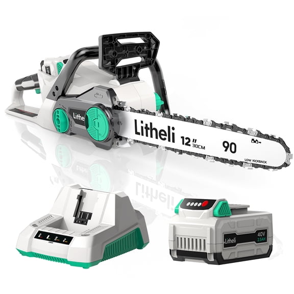 Litheli 40V 12" Cordless Chainsaw, Battery Chainsaw with 2.0Ah Battery and Charger Included