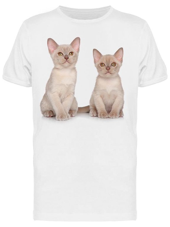 Two Cute Kittens Posing T-Shirt Men -Image by Shutterstock Men T-Shirt, Male Medium