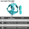 thumbnail image 3 of Dog Harness Vest Reflective Vest Style Harness and Leash Escape Proof Breathable Pet Chest Vest Walking Leash for & Small Medium Dogs Adjustable Pet Harness Walking Control Vest Pet Gear, 3 of 8