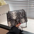 thumbnail image 4 of Bolso de mujer Senior Sense Fashion Serpentine Wrist Shoulder Bag Bolso de diseñador de marca Trend Bolso cuadrado pequeño de cuero de alta calidad, 4 of 4