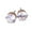 White , Golden, variant on UDIYO Ear Studs Elegant All Match Cubic Zirconia Round Exquisite Earrings for Dating