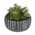 thumbnail image 4 of Better Homes & Gardens 4.72" H Artificial Succulent Plant in Stone Pot, Multi-Color, 4 of 6