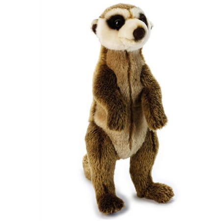 - Lelly National Geographic Plush, Meerkat