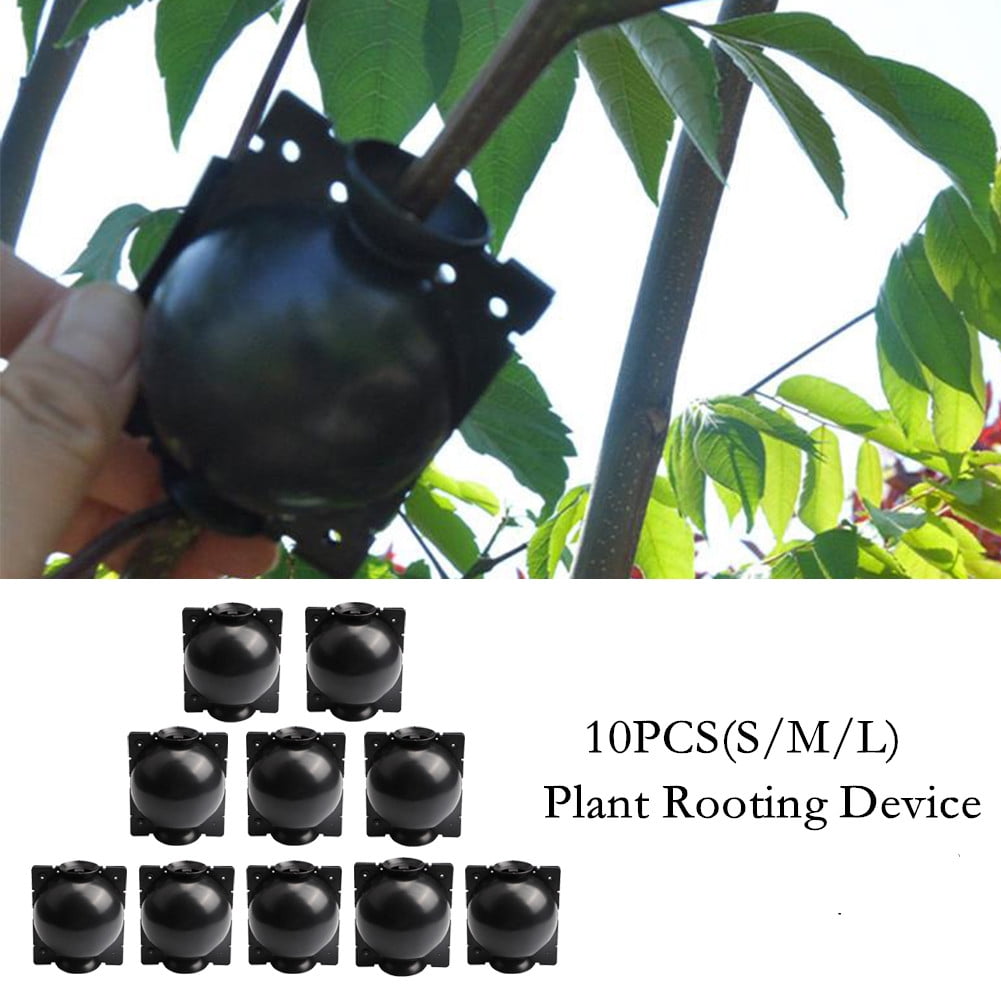10Pcs Plant Rooting Grafting Device High Pressure Propagation Ball Box S/M/L 
