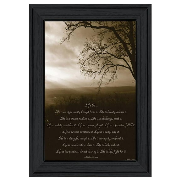 Life is By Dee Dee Printed Black Framed Wall Art Wood Multi-Color