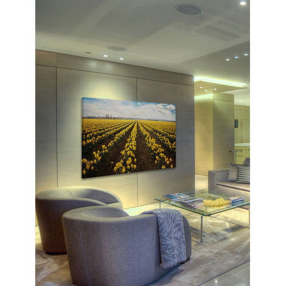 "Daffodils Forever" Painting Print on Wrapped Canvas