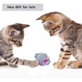 thumbnail image 4 of TUEUIO1,3pcs Chat Jouet Ressort, Rétractable Cage Interactive Rat Roulement Ressort Jouet, 4 of 5