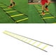 thumbnail image 2 of 4/6/8/10 m Escalera de entrenamiento de Juego de pies 10M 20Conjunto Sunnimix Escalera de agilidad, 2 of 8