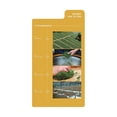 thumbnail image 4 of Ancient Raw Pu-erh, 4 of 5