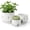 Large, Medium, Small, variant on Succulent Pots, White Mini 2.5 inch Ceramic Flower Planter Pot with Bamboo Tray, Pack of 12 - Plants Not Included