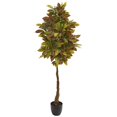 thumbnail image 1 of Nearly Natural 9113 Arbre Artificiel en Croton de 5 Po, 1 of 3