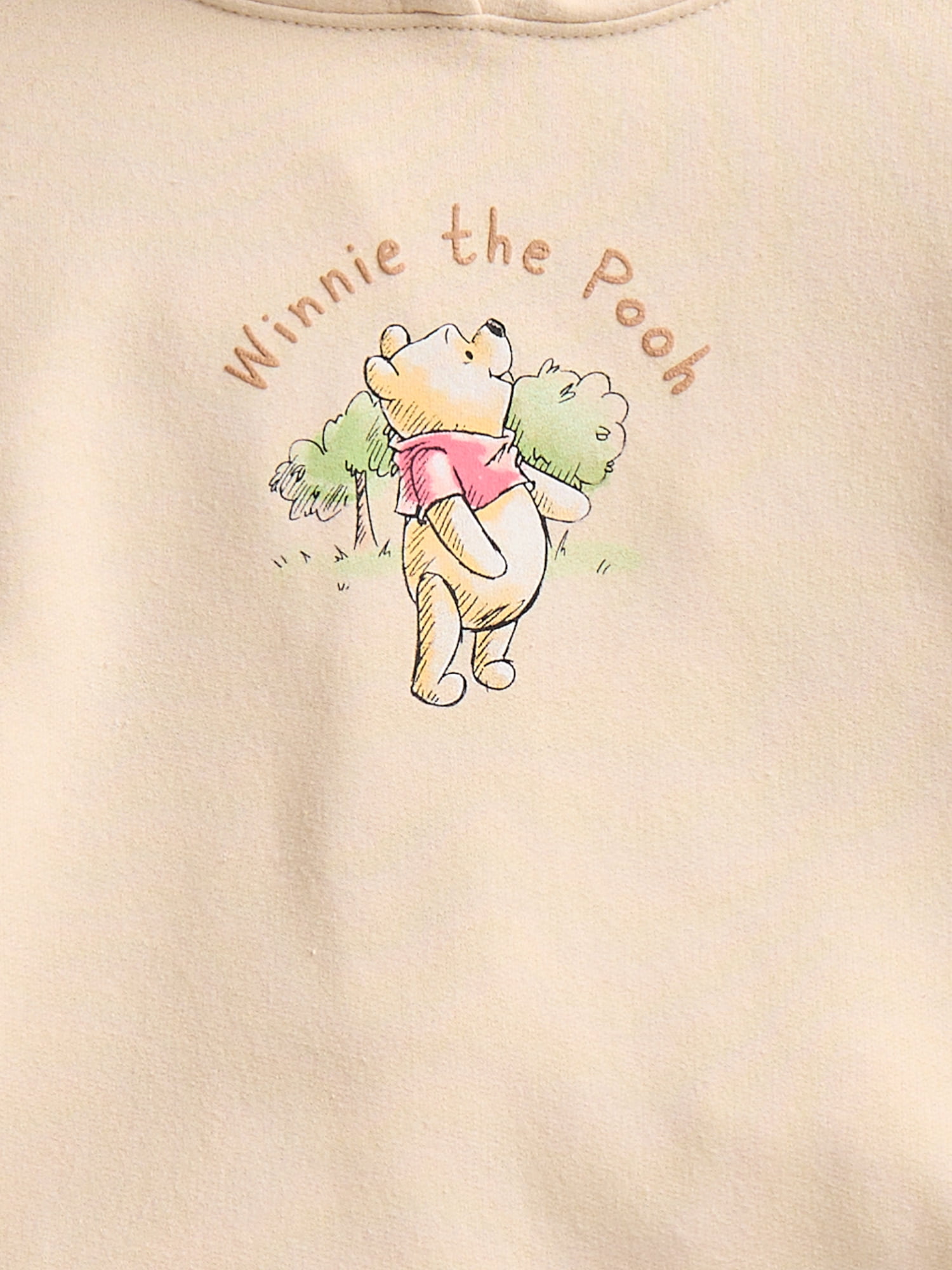 Disney Winne the Pooh Girls Hundred Acre Woods Graphic Fleece Hoodie, Sizes 4-16