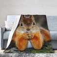 thumbnail image 3 of Ultra Soft Blanket Squirrel Throws Blanket Plush Fuzzy Lightweight Couch Sofa Bed Warm Cozy Flannel Blanket for Kids and Adults Gift 60"X50", 3 of 6
