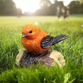 thumbnail image 1 of Estatua de pájaro en miniatura shamjiam Decoración de jardín de hadas Modelo de pájaro Animal 1 piezas, 1 of 8