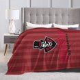 thumbnail image 4 of Austin Peay State University Fleece Blanket, Very Soft Microfiber Flannel Blanket for Couch Warm and Cozy for All Seasons, 4 of 6