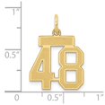 thumbnail image 4 of 14k Yellow Gold Satin Brush Finish Small Size Number 48 Charm Pendant, 4 of 6