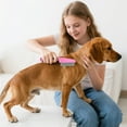 thumbnail image 3 of Stainless Steel Flea Comb for Pet Grooming and Gentle Coat Care on Dogs Cats 10PCS, 3 of 5