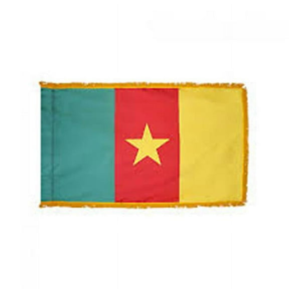 Annin Flagmakers 191266 3 ft. x 5 ft. Nyl-Glo Cameroon Flag