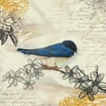 thumbnail image 2 of Theodosiou, Matina 15x15 White Modern Wood Framed Museum Art Print Titled - Backyard Birds II, 2 of 4