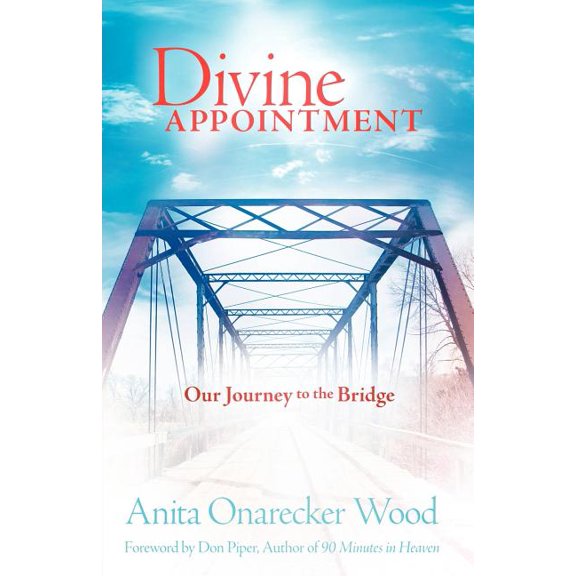 Divine Appointment (Paperback)