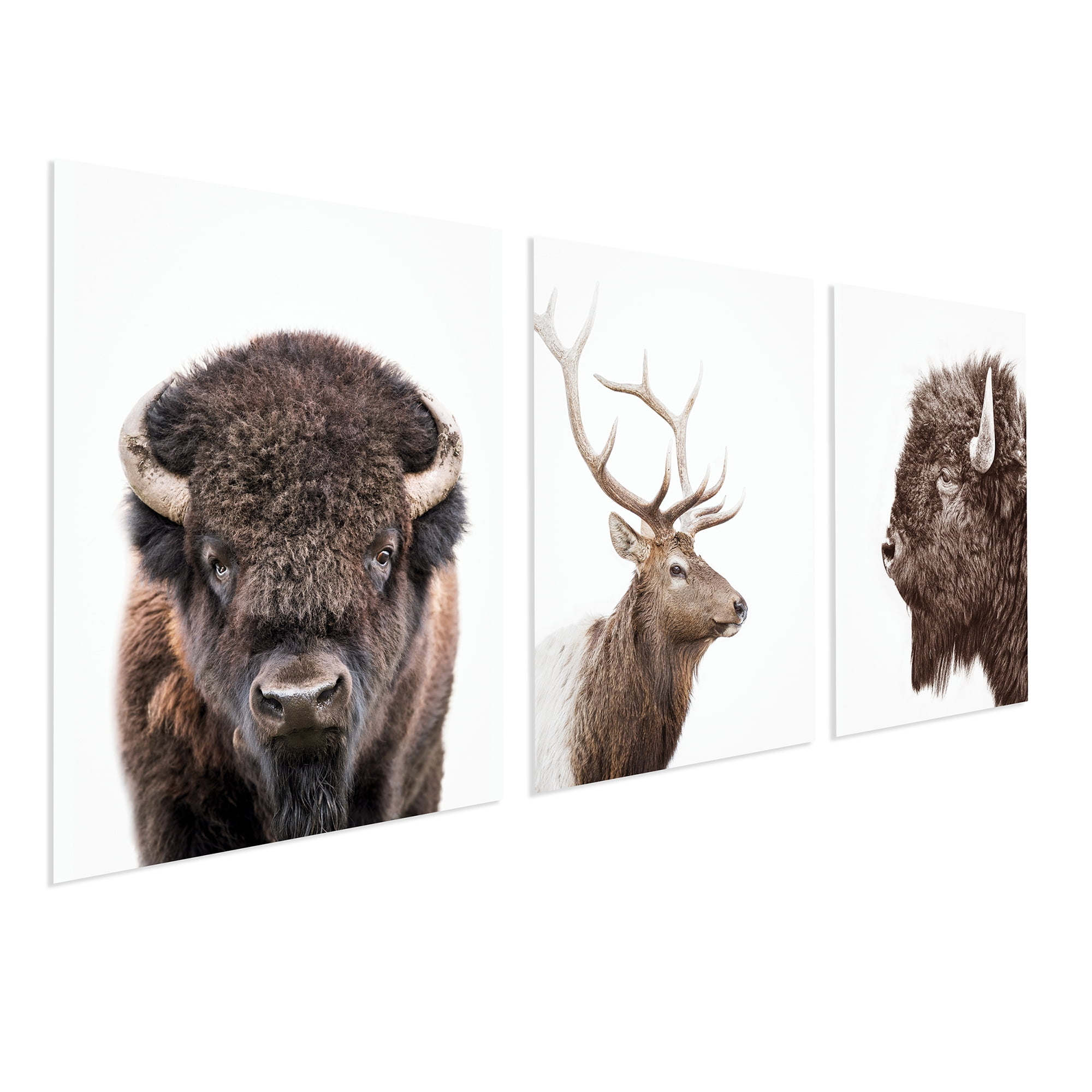 (2 pack) DesignOvation Forest Animals Unframed Art Prints 8” x 10” Set of 3 by Amy Peterson
