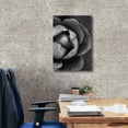 thumbnail image 3 of Epic Graffiti 'Flower Bloom' by Incado, Giclee Canvas Wall Art, 18"x26", 3 of 8