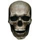 thumbnail image 1 of Máscara de cabeza completa de Halloween Yuyangstore casco de látex realista para Adultos esqueleto aterrador Color oscuro, 1 of 8
