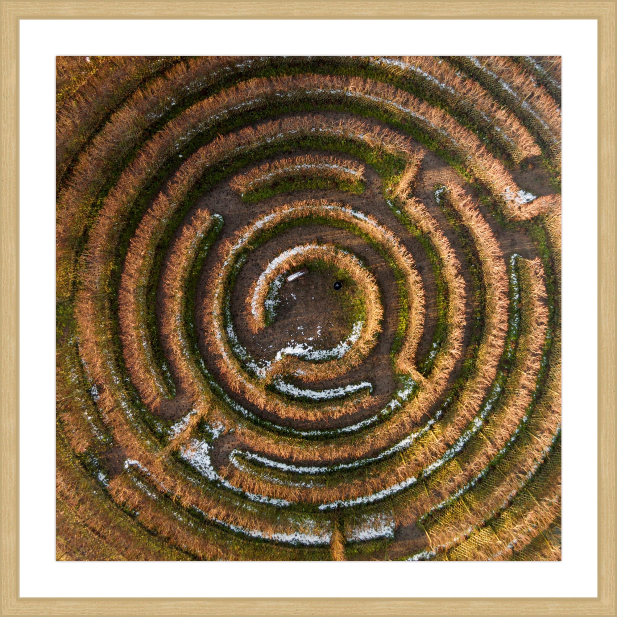 Marmont Hill "Crop Circle" By Karolis Janulis Framed Painting Art Print, 32.0" x 1.5"