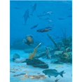 thumbnail image 1 of Randall Scott Piezas de ocho rompecabezas 500 piezas SunsOut 796780685147, 1 of 1