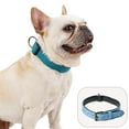 thumbnail image 5 of Frosted traction collar collar collar adjustable training collar for large and medium-sized dogs, 5 of 5