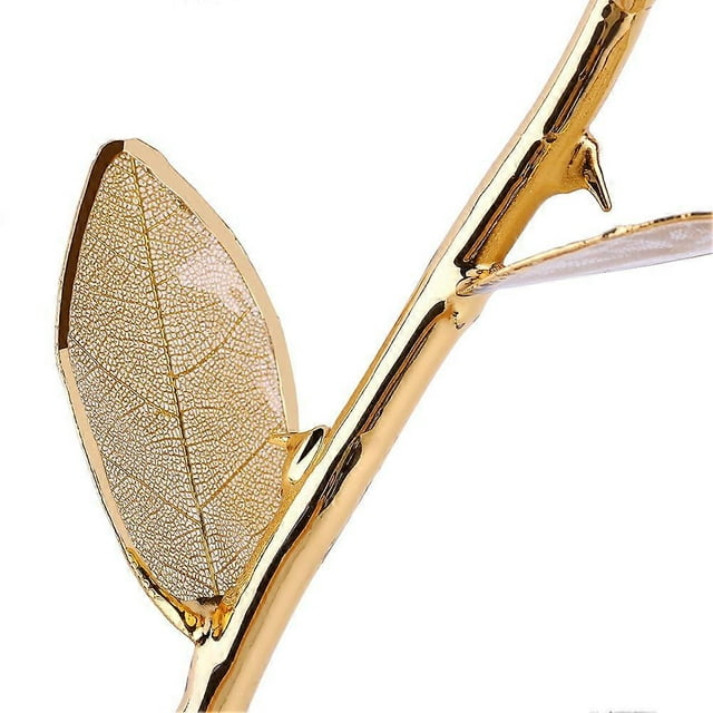 Rose Dipped in 24k Gold Forever Preserved Long Stem Rose with Golden Leaf Perfect Gift (Red)