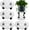 13 inch, variant on 4 Packs 13.8 Inches Large Clear Plant Caddy Plant Saucers on Wheels Rolling Plant Stands Heavy-duty Plant Dolly Plastic Planter Roller Base Pot Movers Outdoor Plant Tray Coaster