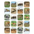 thumbnail image 1 of TEACHER CREATED RESOURCES (12 PK) Autocollants SAFARI ANIMALS, 1 of 1