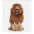 thumbnail image 3 of Ambesonne Poodle Shower Curtain, Funny Dog Sitting Tongue, 69"Wx70"L, Dark Rosewood Pale Brown, 3 of 3