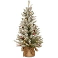 thumbnail image 1 of National Tree Company 3 Foot Pre Lit Dunhill Fir Artificial Christmas Tree, 1 of 5