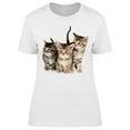 thumbnail image 1 of Cute Baby Tabby Kittens T-Shirt Women -Image by Shutterstock, Female Large, 1 of 2