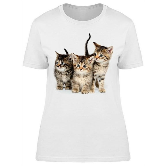 Cute Baby Tabby Kittens T-Shirt Women -Image by Shutterstock, Female Large