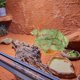 thumbnail image 4 of FUTUREORYY Planta Artificial Para De Terrario Y Acuario Reptil, 4 of 6