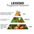 thumbnail image 2 of Perfume Pete & Pedro LEGEND Eau De Parfum 50 ml para hombre, 2 of 5